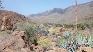 GC-Mirador de Arteara 2026-09.jpg